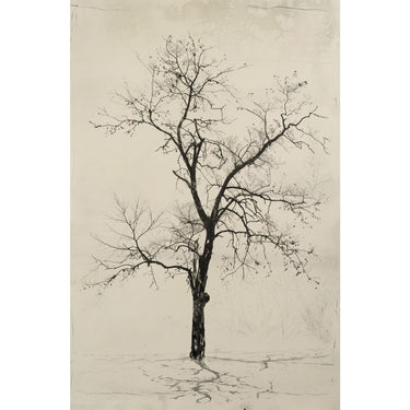 Tree Canvas Drawing